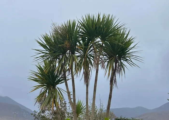 The Hideaway * 基拉尼